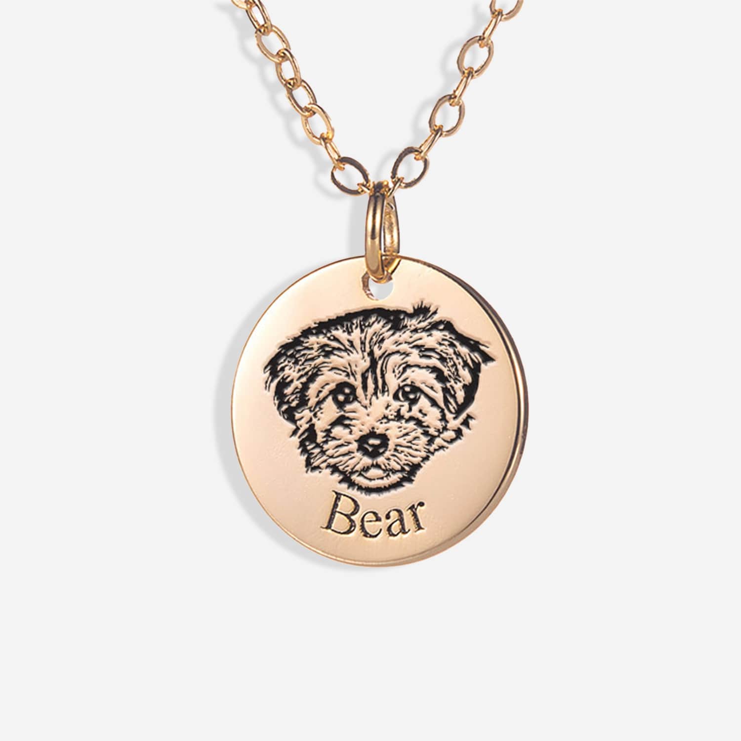 Unieke Gepersonaliseerde Huisdier Foto Ketting: Draag Je Liefde Dichtbij